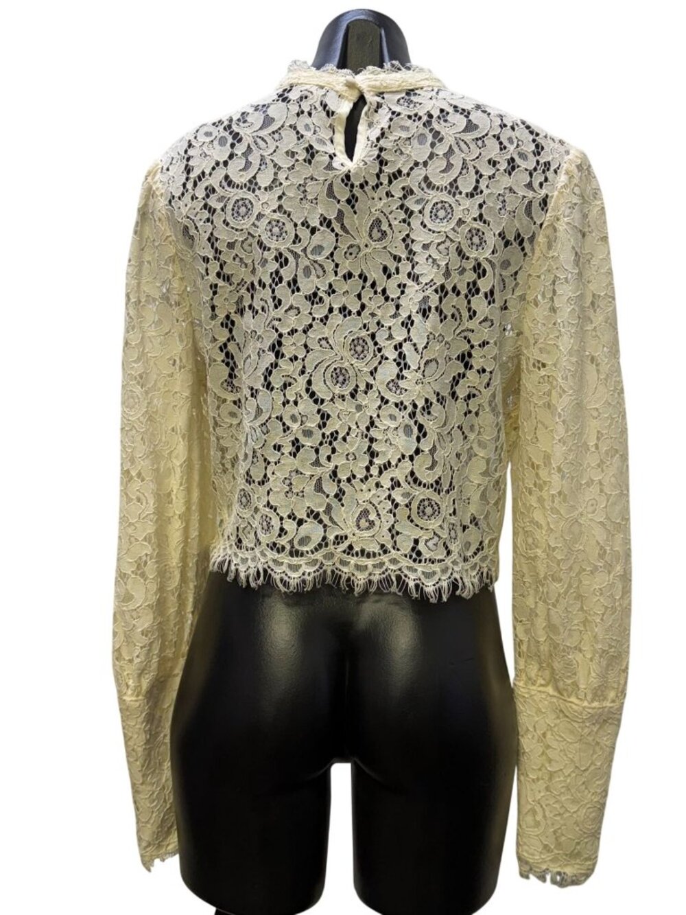 Bardot Lace Cropped Blouse Ivory Long Sleeve XL - Picture 2 of 6